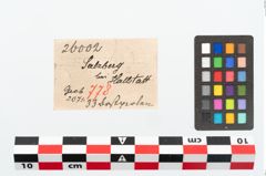 Etikett zu Perlenkette (NHMW-PRAE-026002)